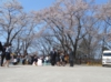 DSCN9650.JPG