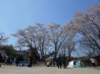 DSCN9653.JPG