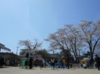DSCN9654.JPG
