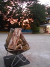 DSCN0661.JPG