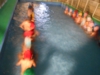 DSCN0743.JPG