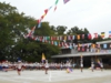 DSCN1177.JPG