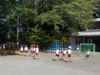 DSCN1529.JPG