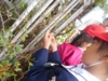 DSCN1634.JPG