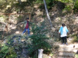 DSCN4523.JPG