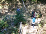 DSCN4524.JPG